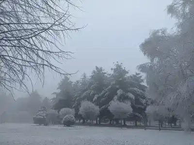 Целебные воды - 71