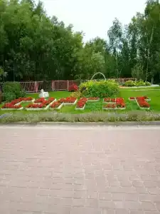 Кедровый Лог - 42