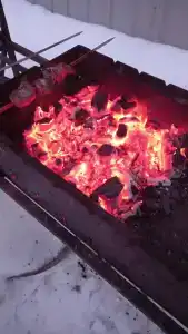 Коди Ярви - 72