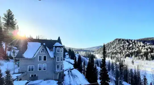 Замок Эдельвейс - 88