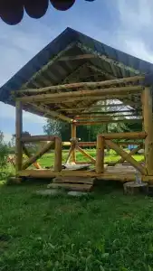 Визит - 38