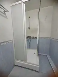 Тюльпан - 14