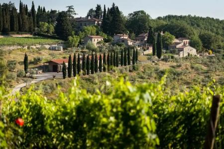 Querceto Di Castellina - 31
