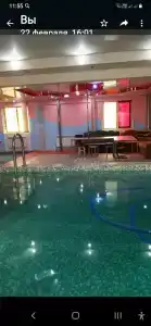 Дельфин - 10