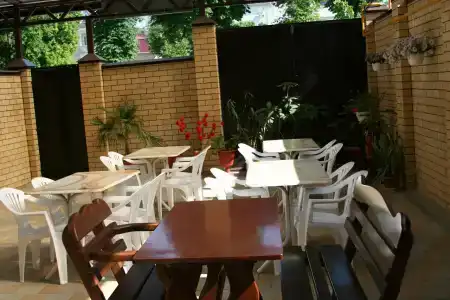 Кипарис - 19