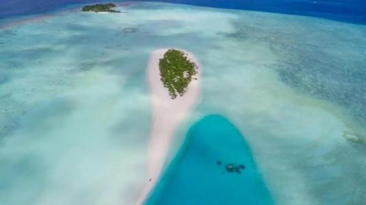 Ari heaven Thoddoo Maldives - 2