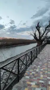 ПЛЕСъ - 10