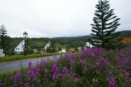 Dalat Wonder Resort - 45