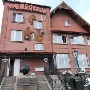 Три медведя - 46