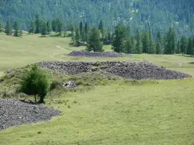 Зов гор Алтая - 56