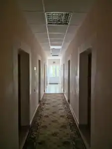 Беловежская пуща. №2 - 15