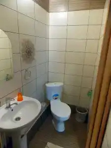 Фламинго - 35