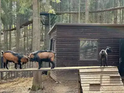 Русские Сезоны Комфорт - 60