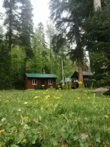 Лесной дом - 28