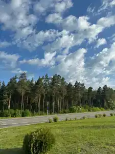 Брузги - 2