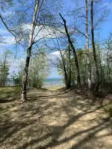 Гости - 26