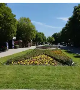 Тик ток хаус Супербуся - 9