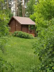 Иволга - 16