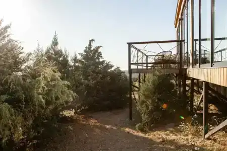 Родное гнездо - 4