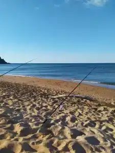 Тихая гавань - 2