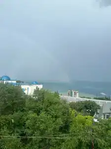 Вероника - 12