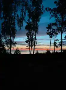 Чайка - 13