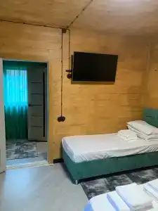 Платан - 29