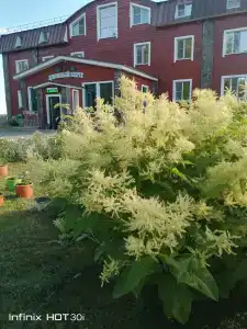 Длинный берег - 32