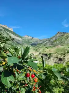 Дом для отпуска у Умара Хатабыча - 2