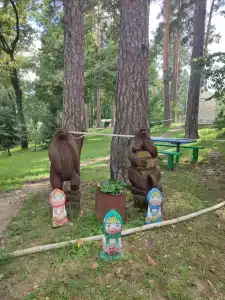 Никоново - 20