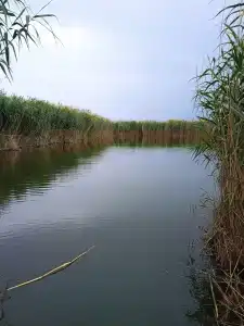 Сероводородный источник - 16