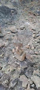 Усадьба Гирвас - 41