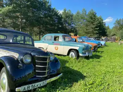 Визит - 19