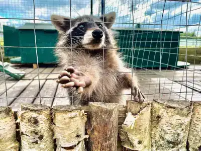 Александровский спас - 76