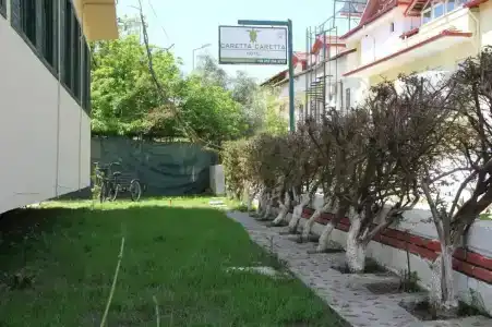 Caretta Caretta - 19