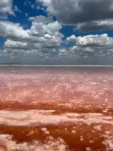 Ribera Resort & SPA - 29