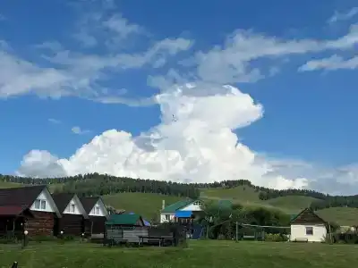Поляна - 4