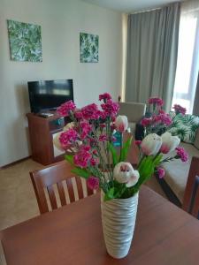 Tsb Sunny Victory - 19