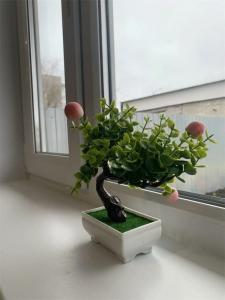 Пол&Пути - 13