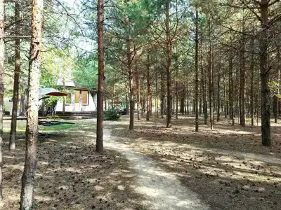 Пчелинцево - 21