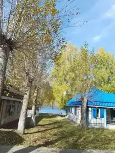 Чайка - 19