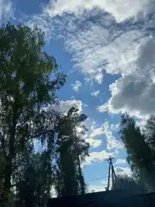 Логово - 16