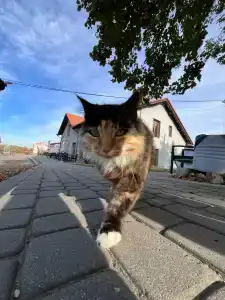 Тюниных - 28