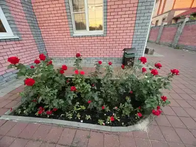 Бальмонт - 46