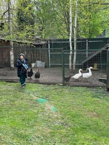 Изба Палыча - 16