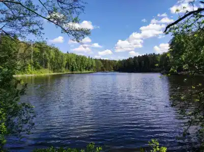 Железинка - 18