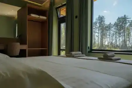 Клен - 0