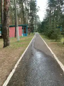 Сура - 12