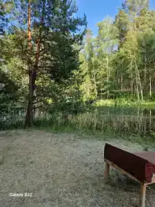 Лесная - 33