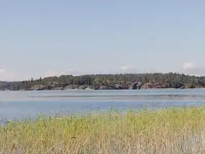 Серые камни - 36